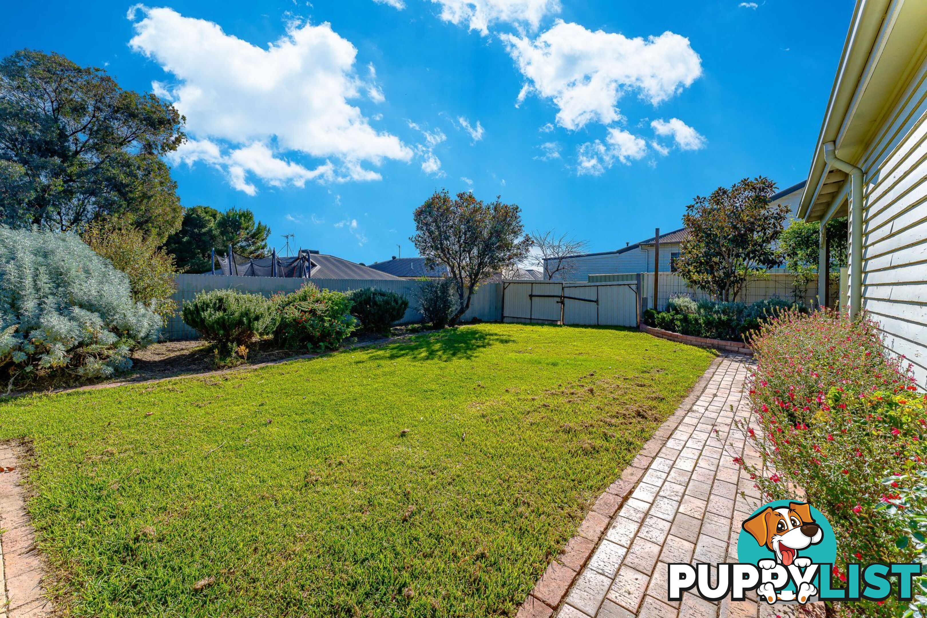 415 Napier Street WHITE HILLS VIC 3550