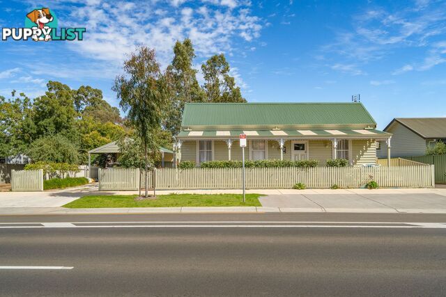 415 Napier Street WHITE HILLS VIC 3550