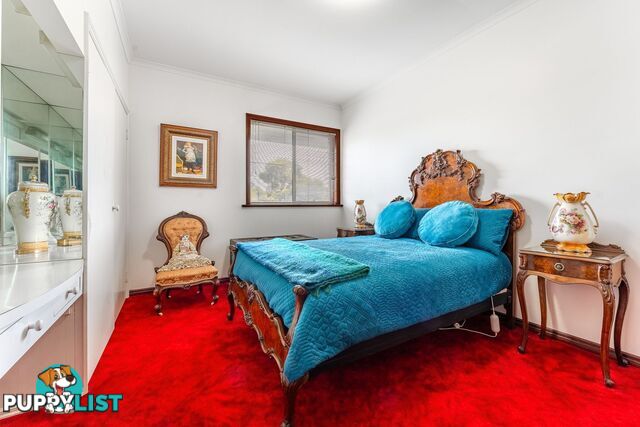 113 Simpsons Road Eaglehawk VIC 3556