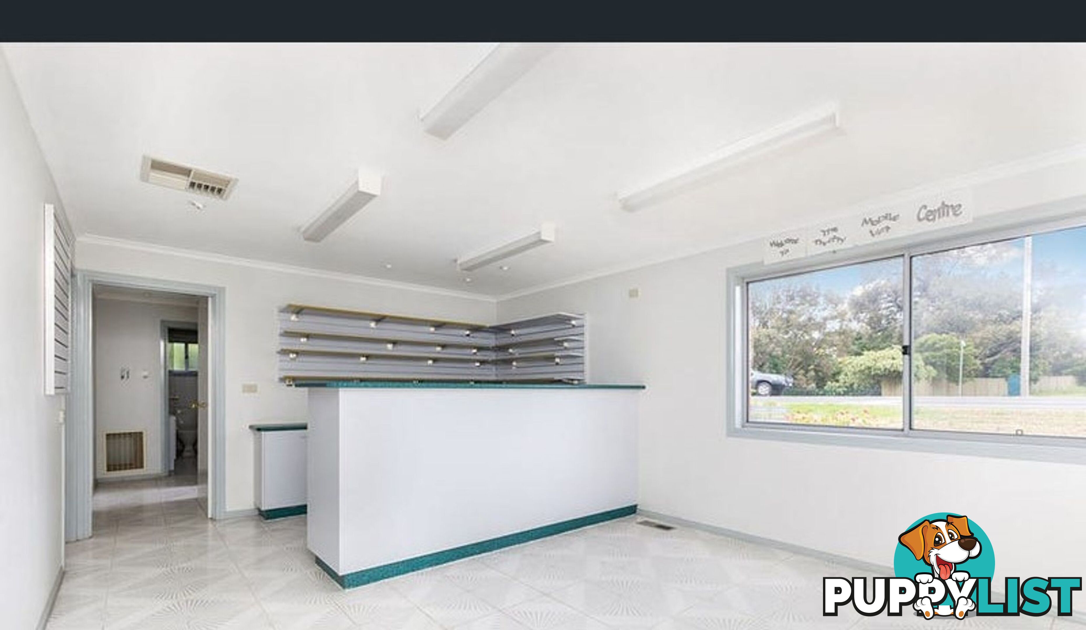 176A Condon Street KENNINGTON VIC 3550