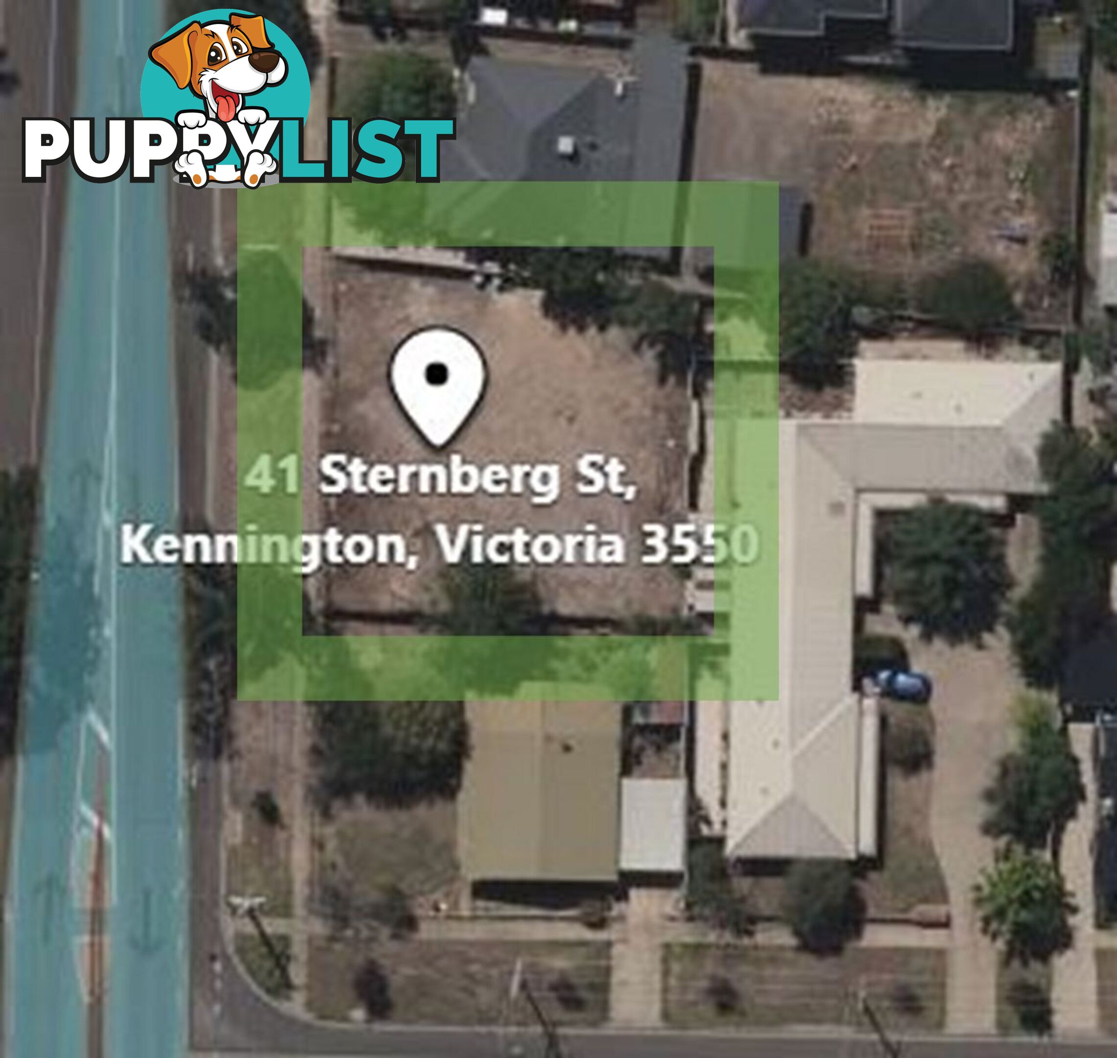 41 Sternberg Street KENNINGTON VIC 3550