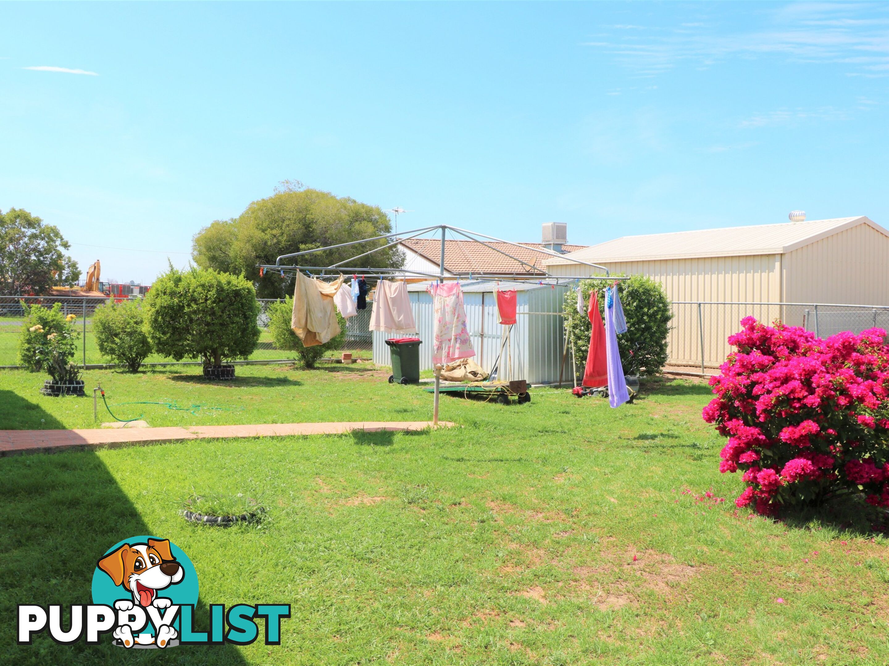 23 Wattle Crescent MOREE NSW 2400