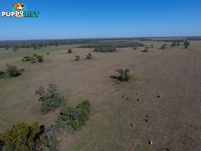 751 Boree Road - "Teralba" MOREE NSW 2400