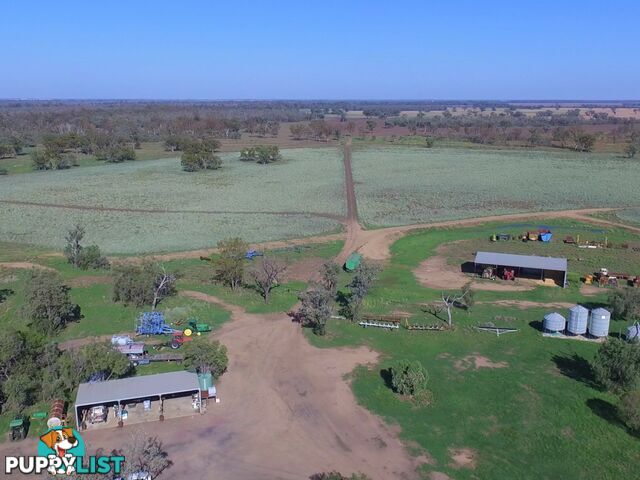 751 Boree Road - "Teralba" MOREE NSW 2400