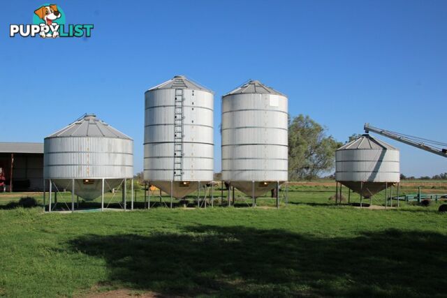 751 Boree Road - "Teralba" MOREE NSW 2400