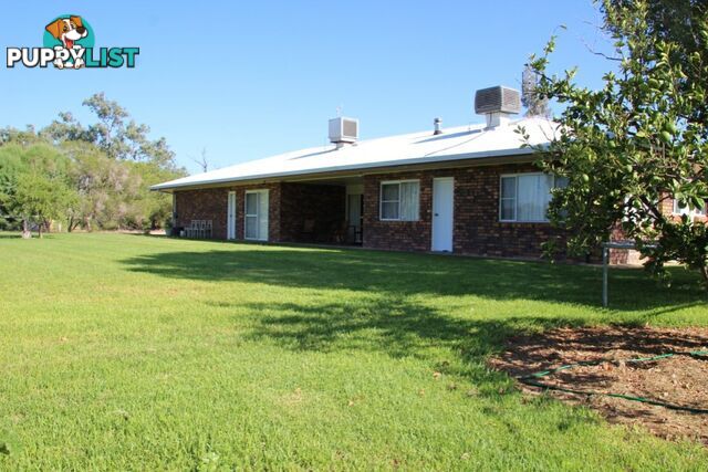 751 Boree Road - "Teralba" MOREE NSW 2400