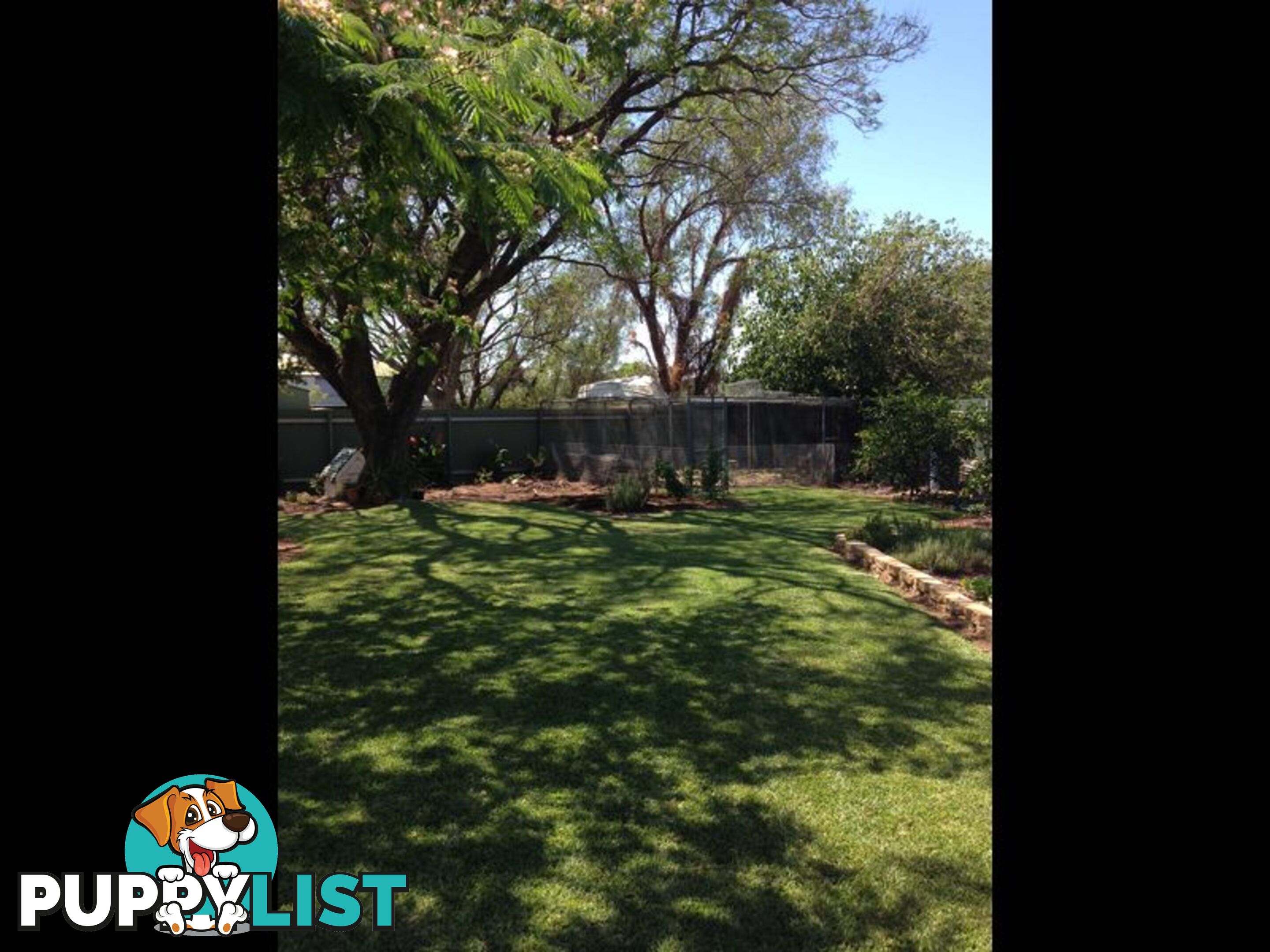 16 Webb Avenue MOREE NSW 2400