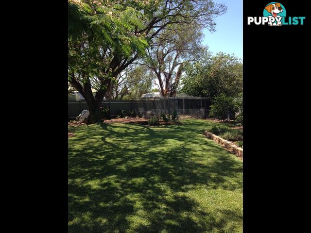 16 Webb Avenue MOREE NSW 2400
