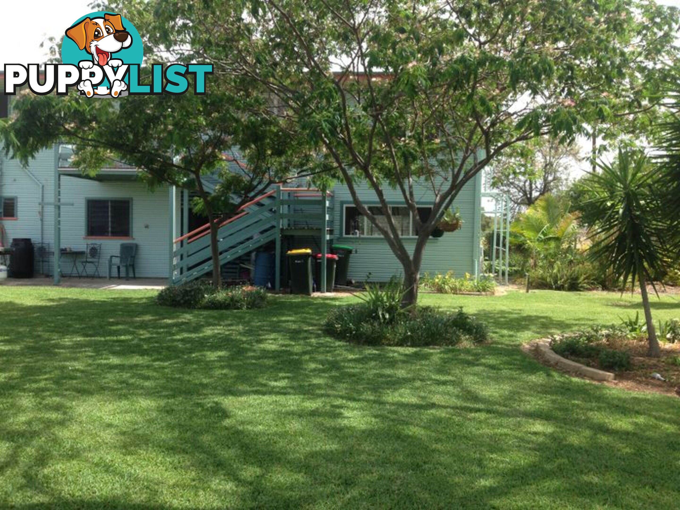16 Webb Avenue MOREE NSW 2400