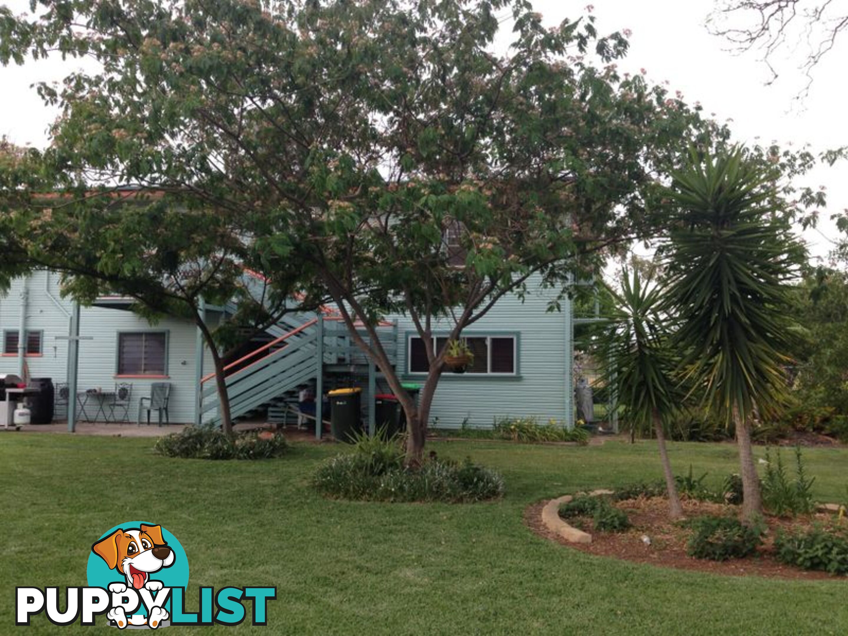 16 Webb Avenue MOREE NSW 2400