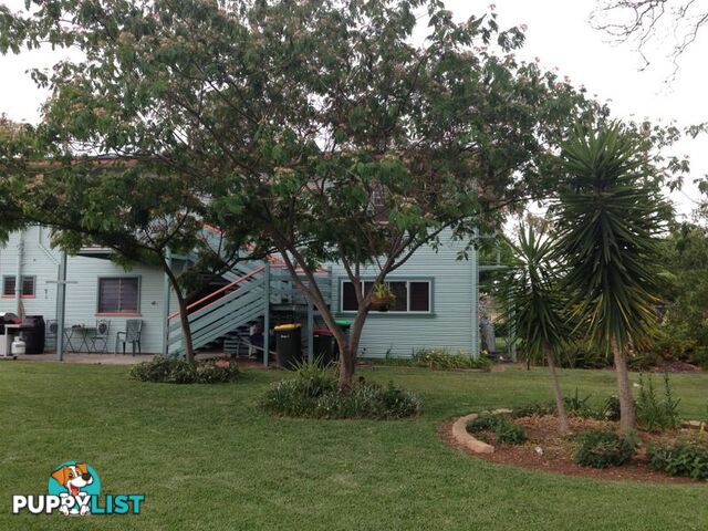 16 Webb Avenue MOREE NSW 2400