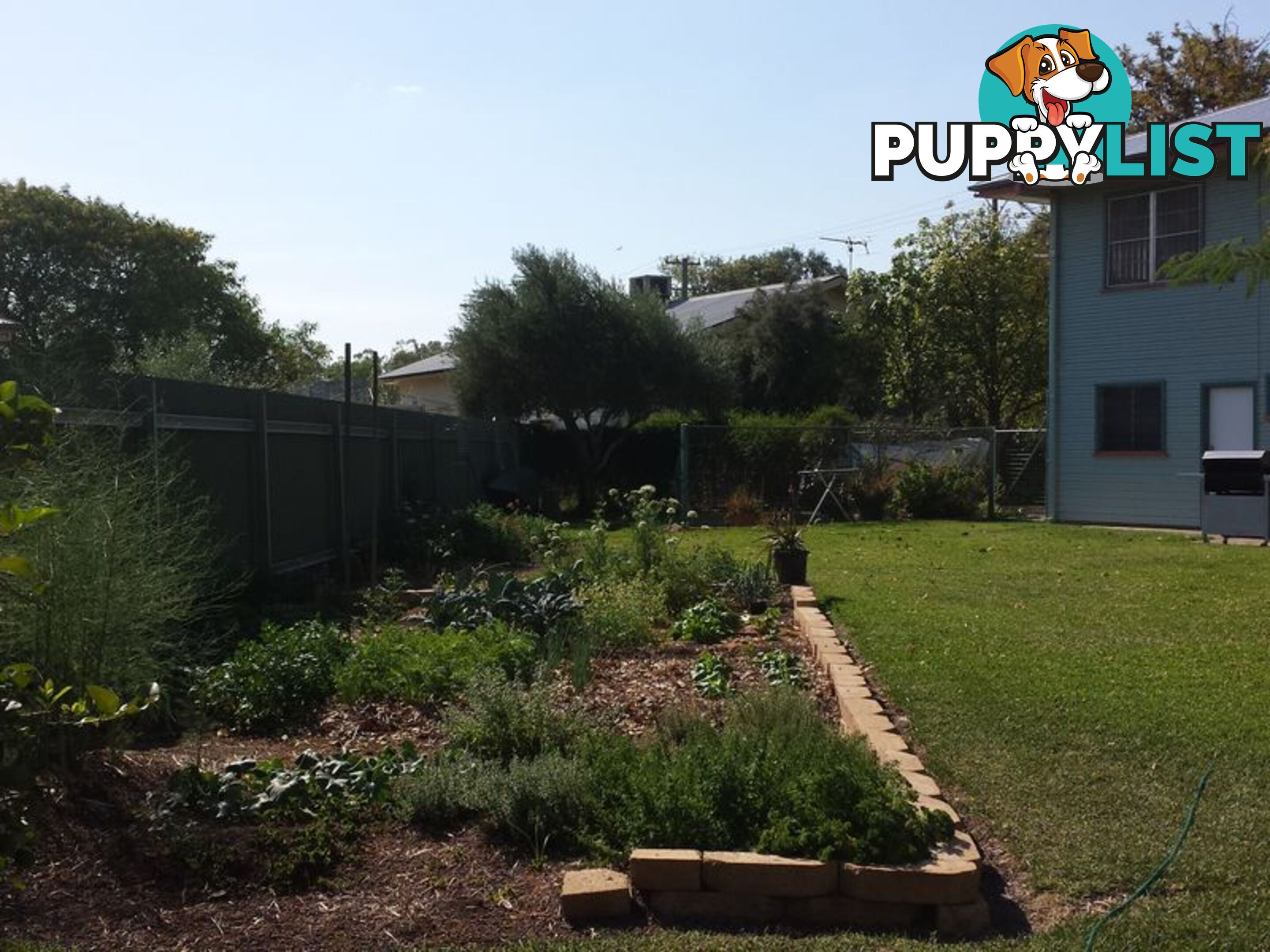 16 Webb Avenue MOREE NSW 2400