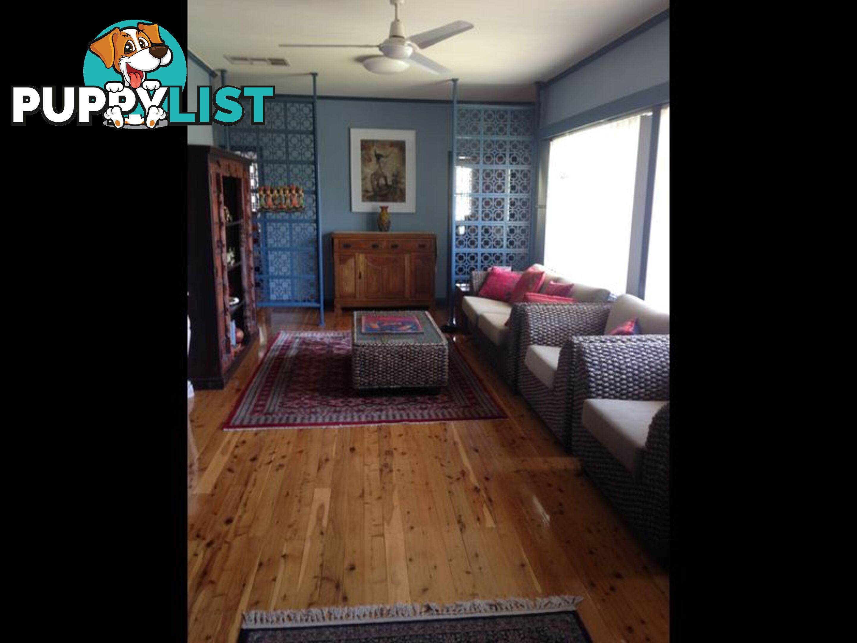 16 Webb Avenue MOREE NSW 2400