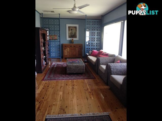 16 Webb Avenue MOREE NSW 2400