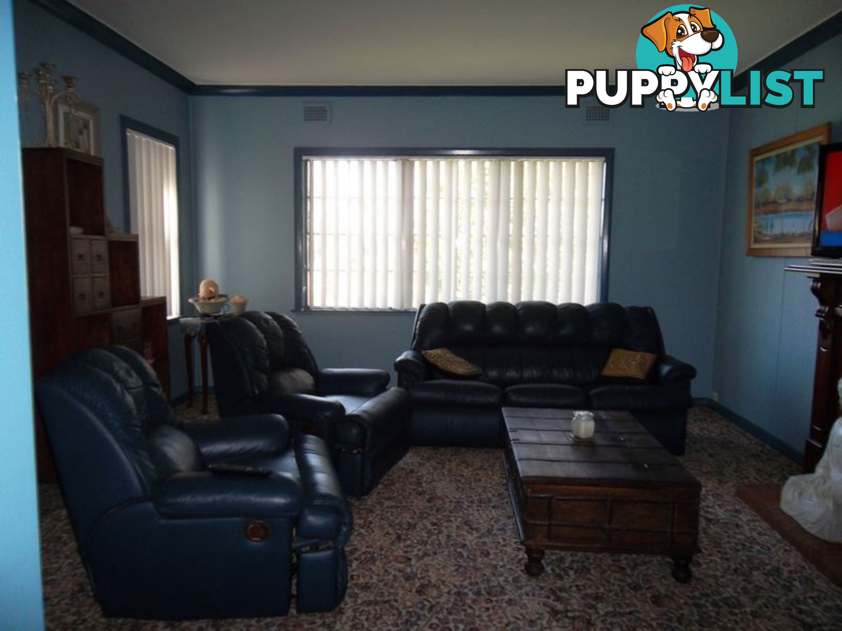 16 Webb Avenue MOREE NSW 2400