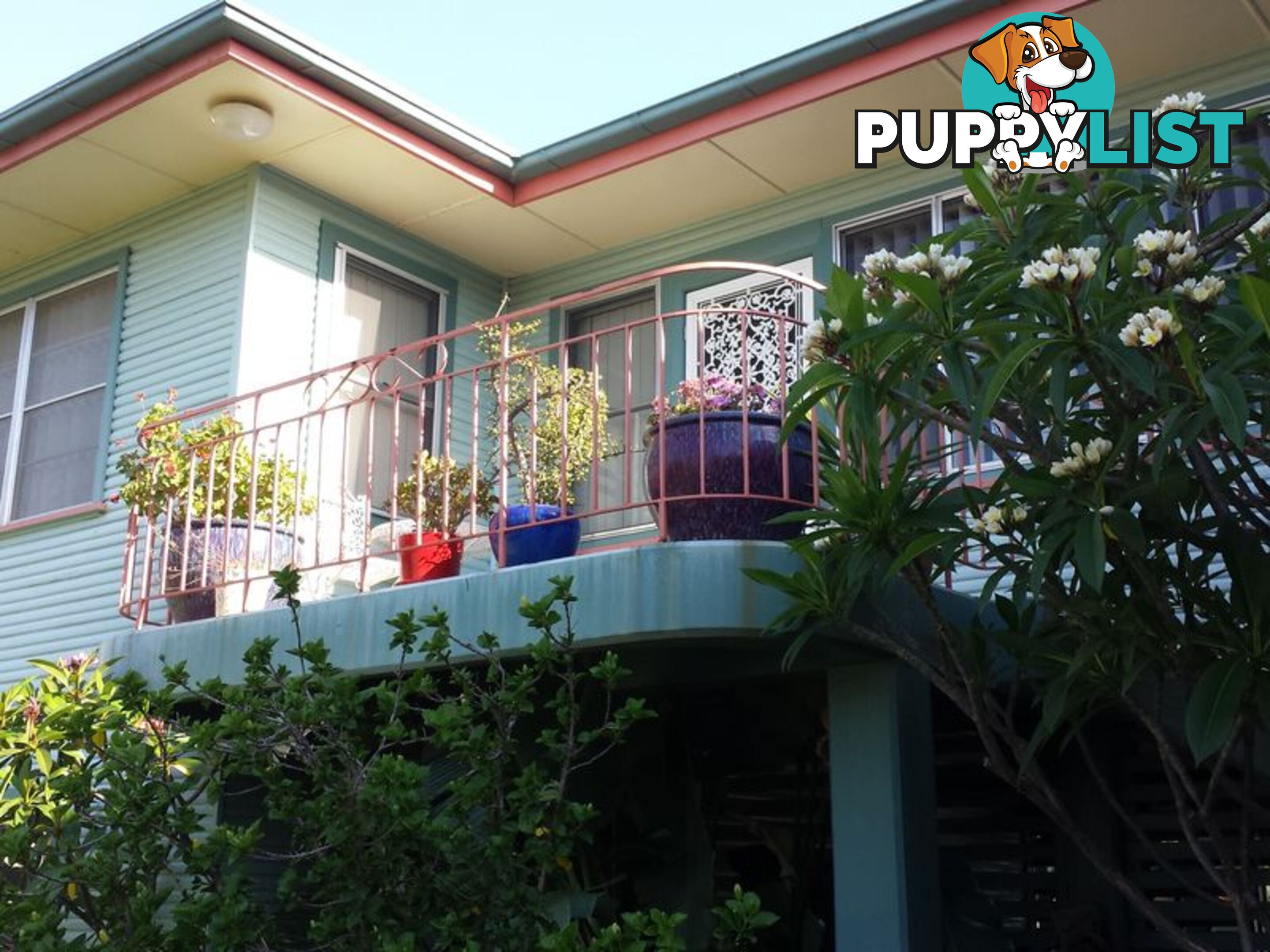 16 Webb Avenue MOREE NSW 2400