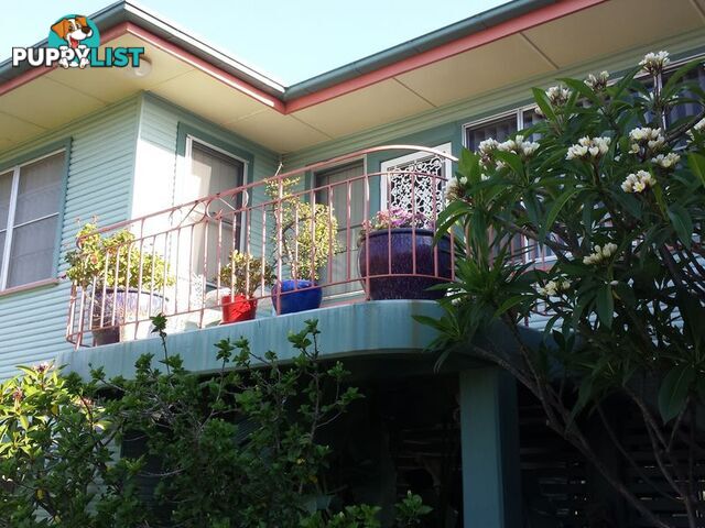 16 Webb Avenue MOREE NSW 2400
