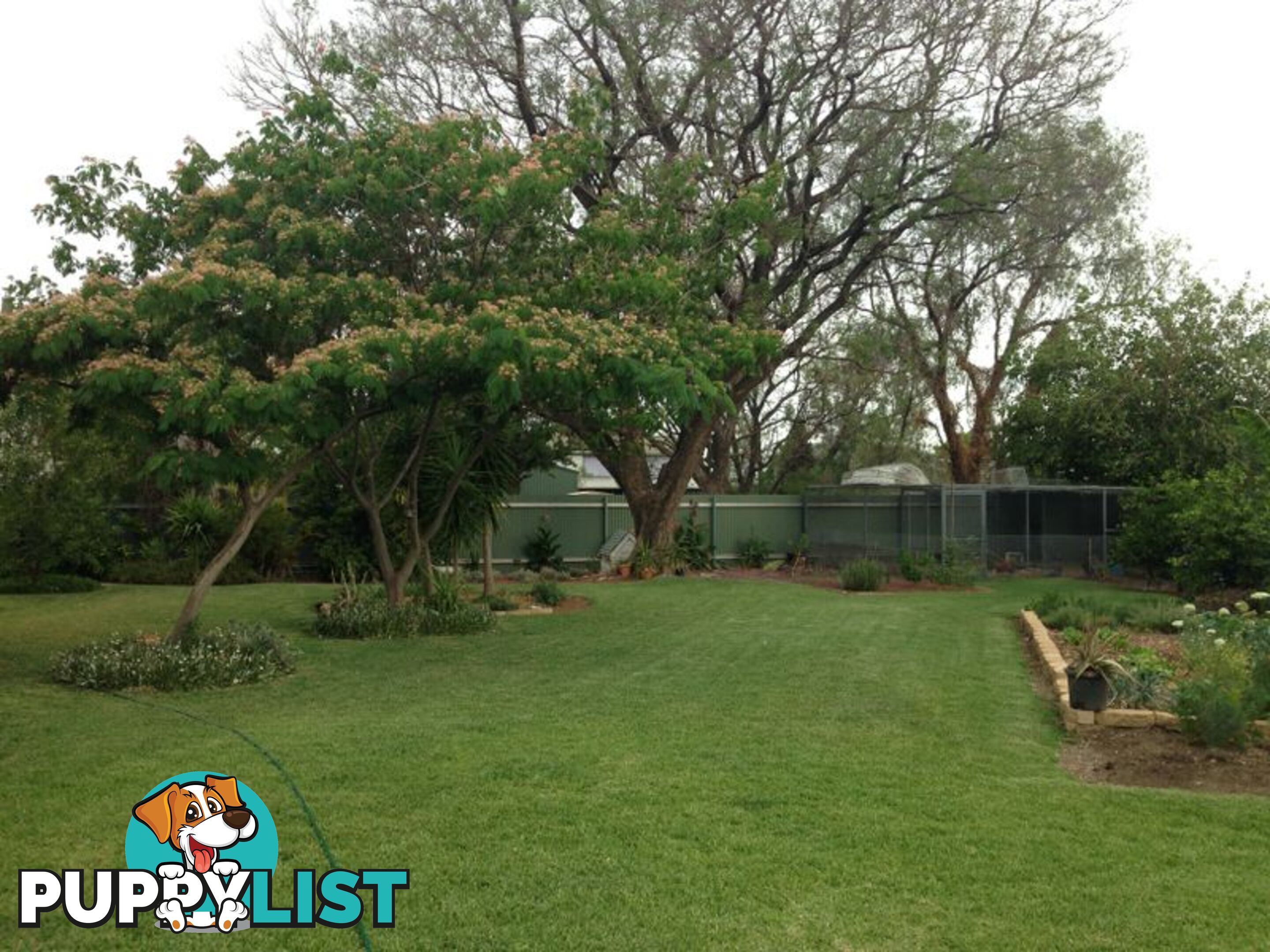 16 Webb Avenue MOREE NSW 2400