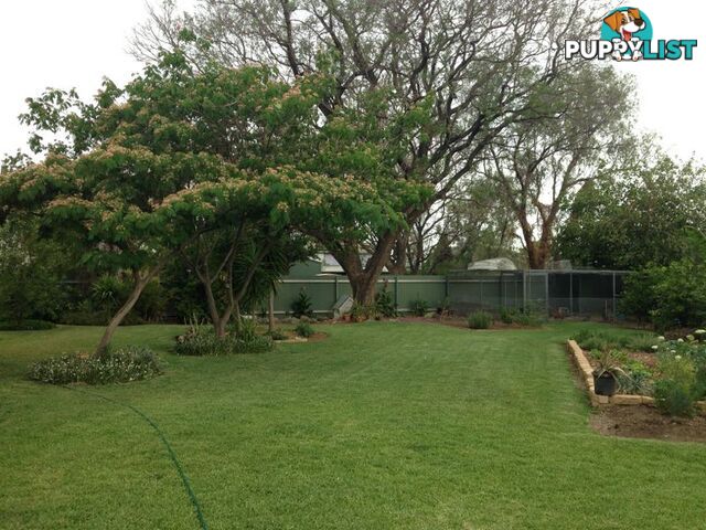 16 Webb Avenue MOREE NSW 2400