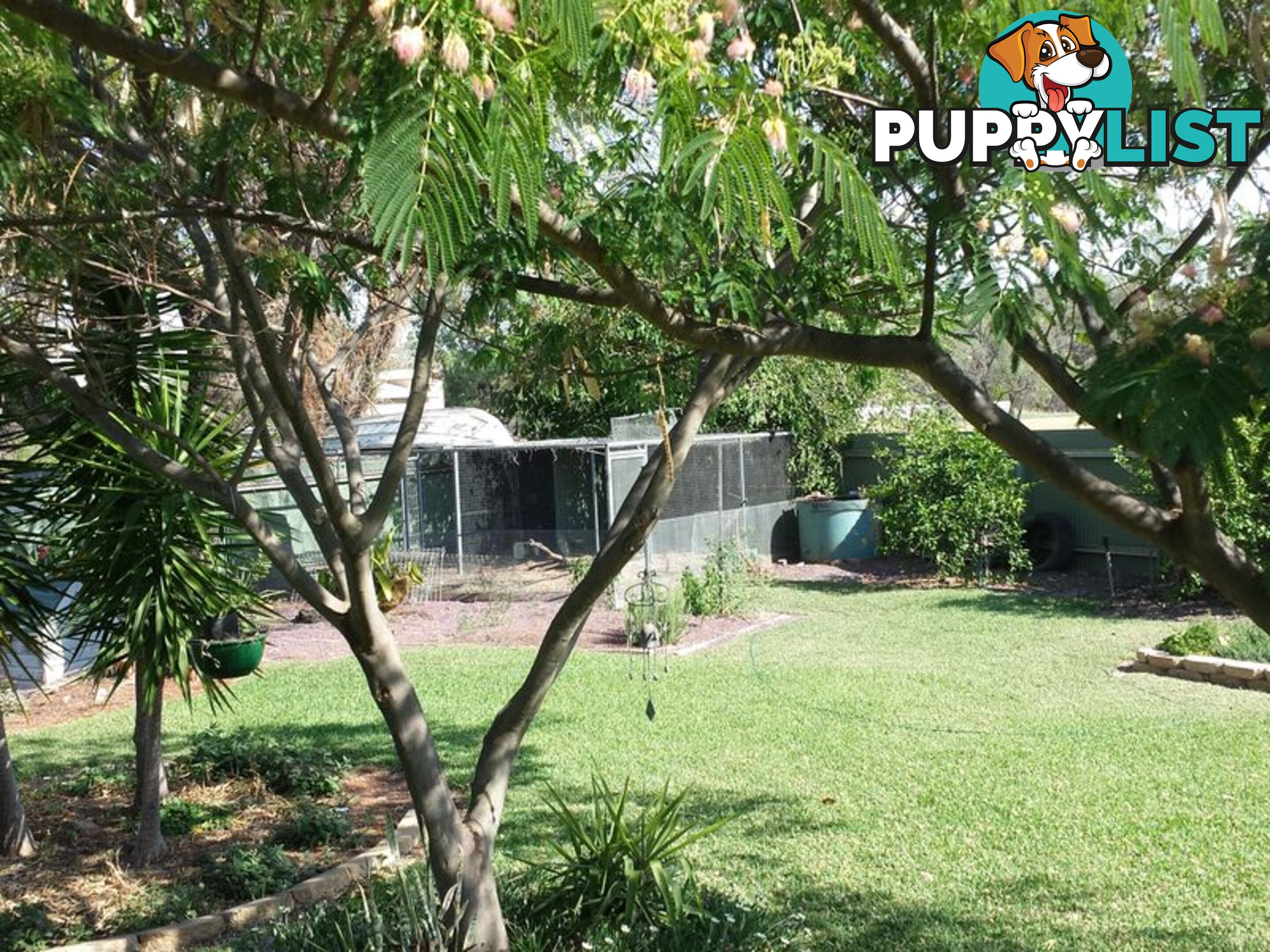 16 Webb Avenue MOREE NSW 2400