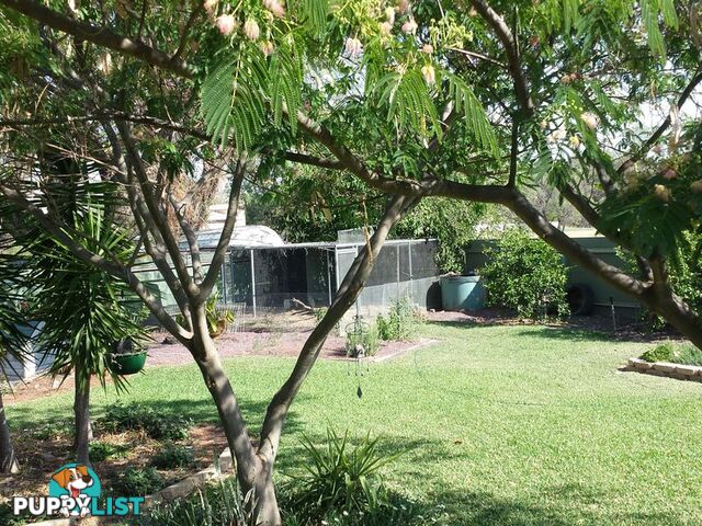 16 Webb Avenue MOREE NSW 2400