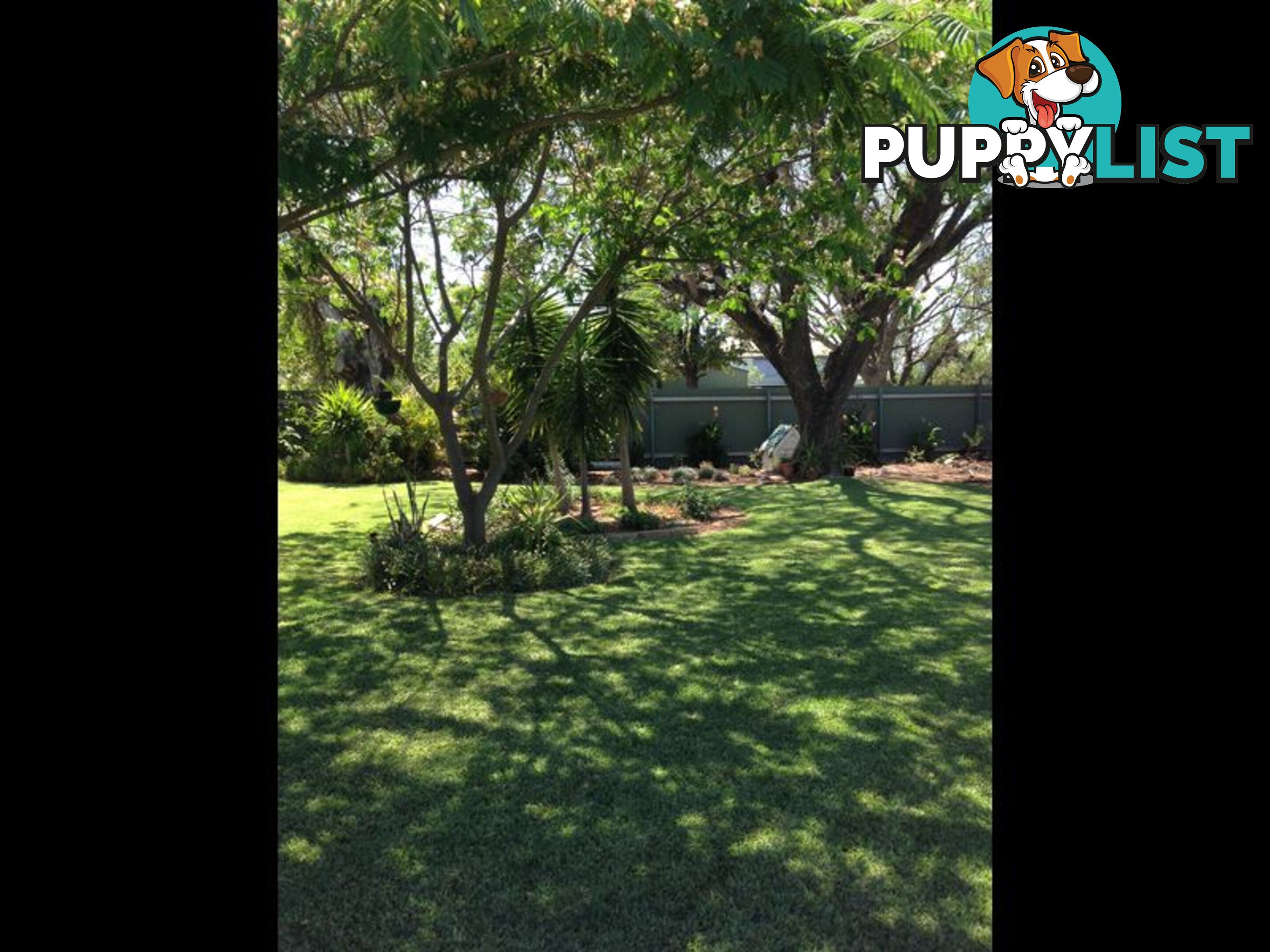 16 Webb Avenue MOREE NSW 2400