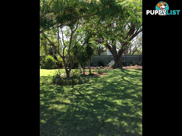 16 Webb Avenue MOREE NSW 2400