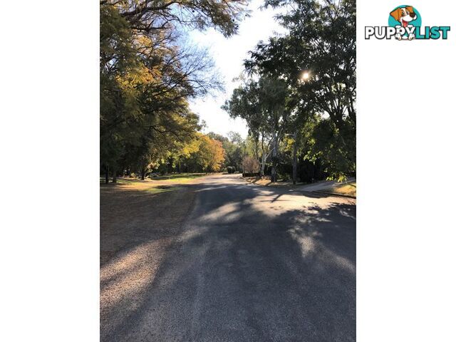 71 Albert Street MOREE NSW 2400