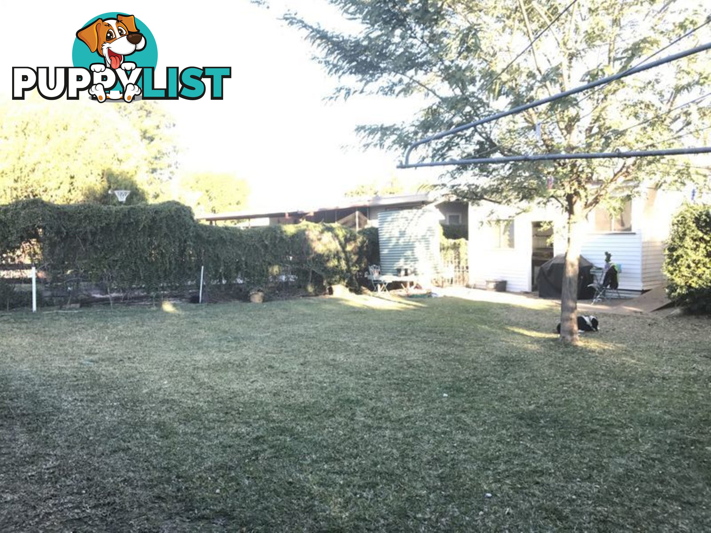 71 Albert Street MOREE NSW 2400