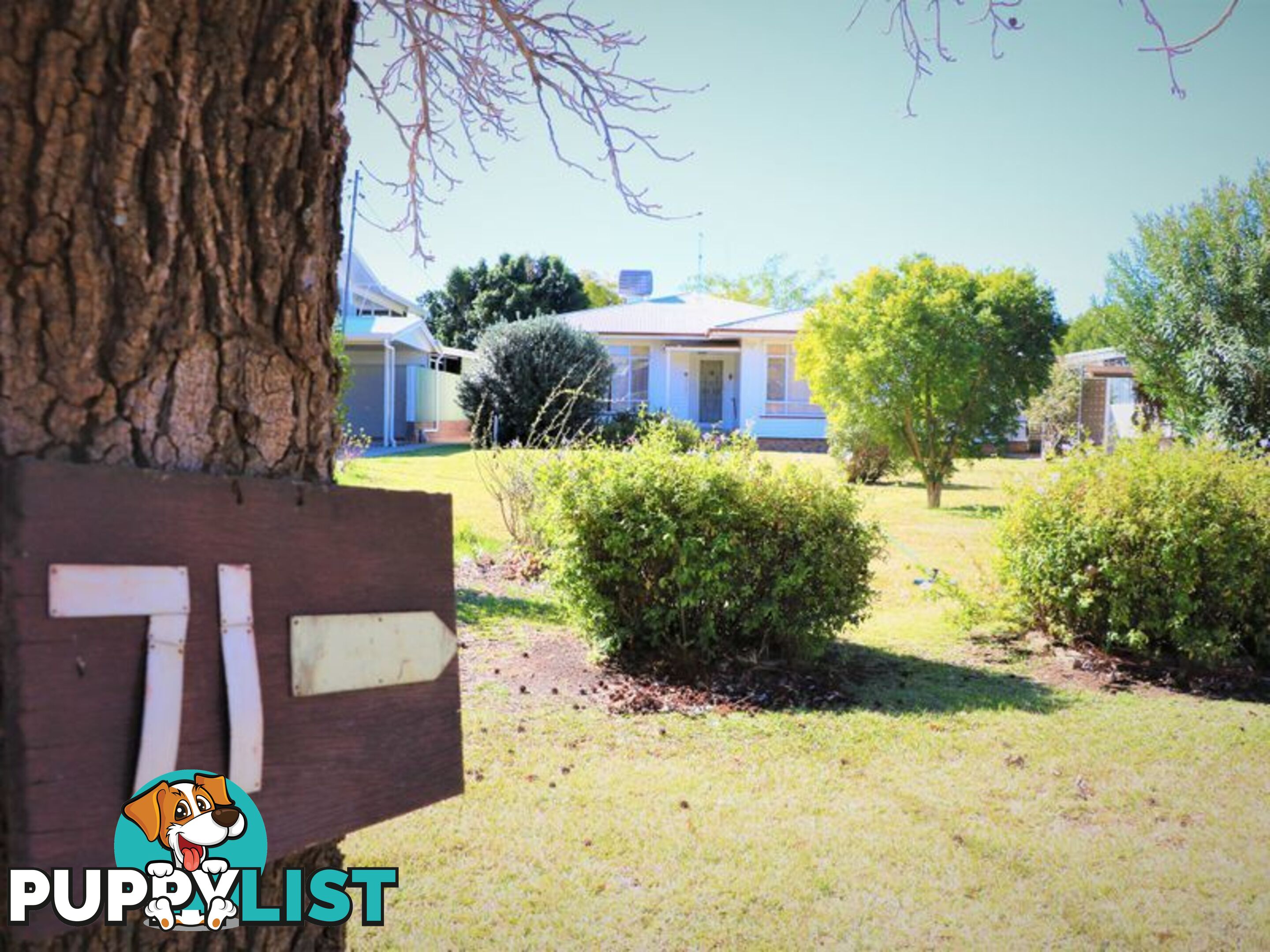 71 Albert Street MOREE NSW 2400