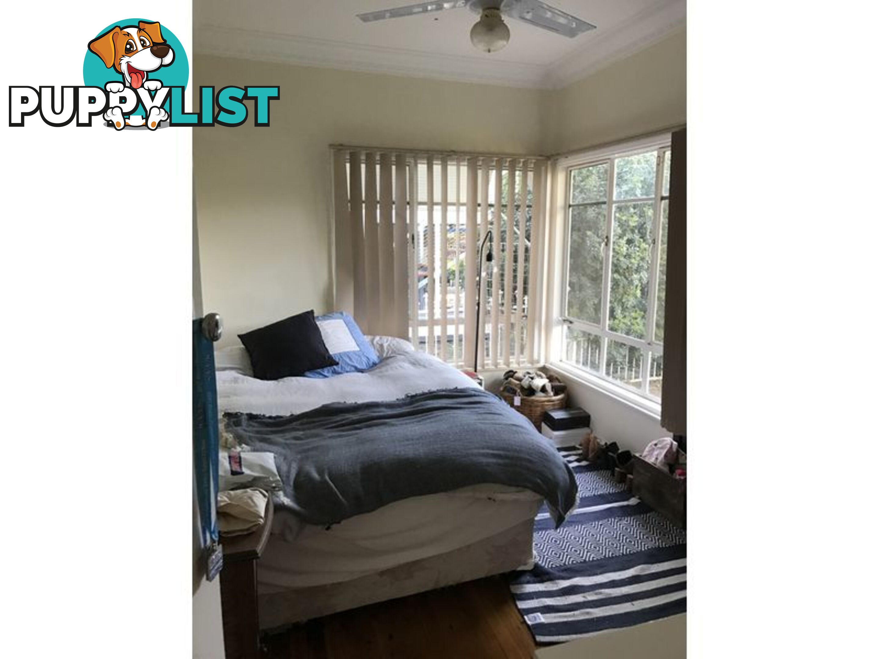 71 Albert Street MOREE NSW 2400