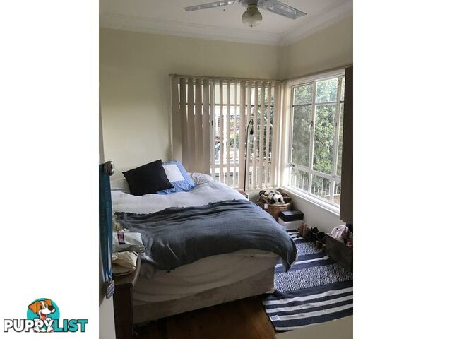 71 Albert Street MOREE NSW 2400