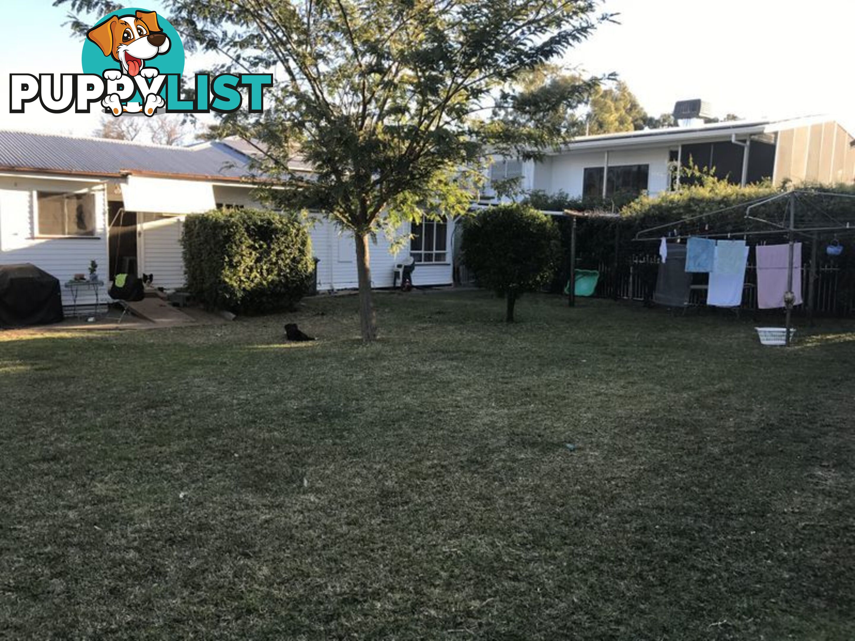 71 Albert Street MOREE NSW 2400