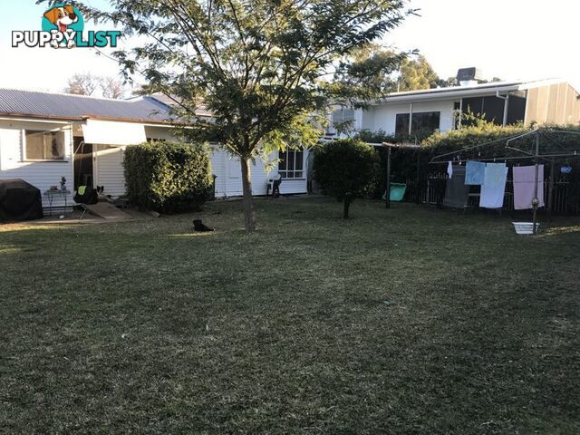 71 Albert Street MOREE NSW 2400