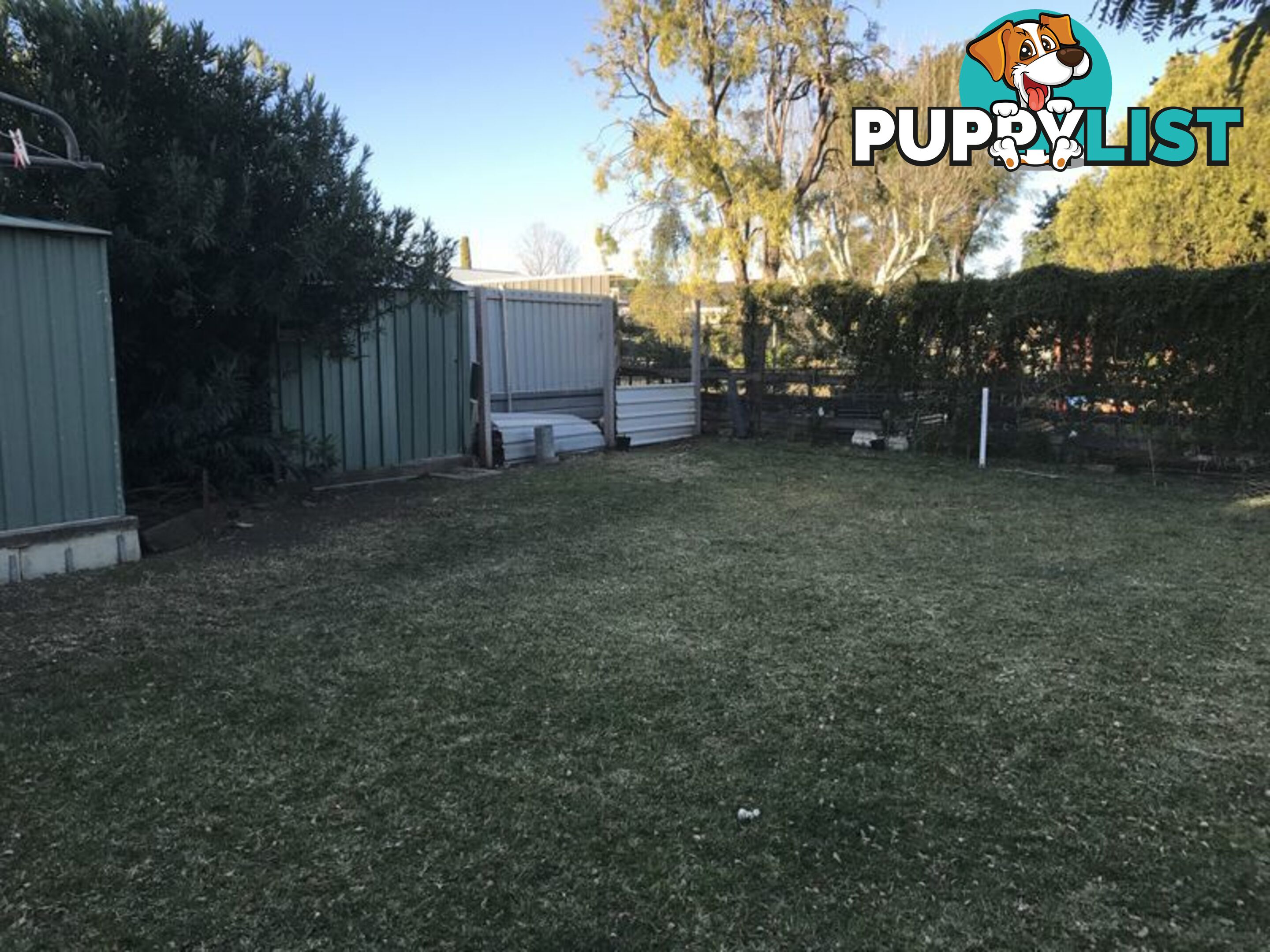 71 Albert Street MOREE NSW 2400