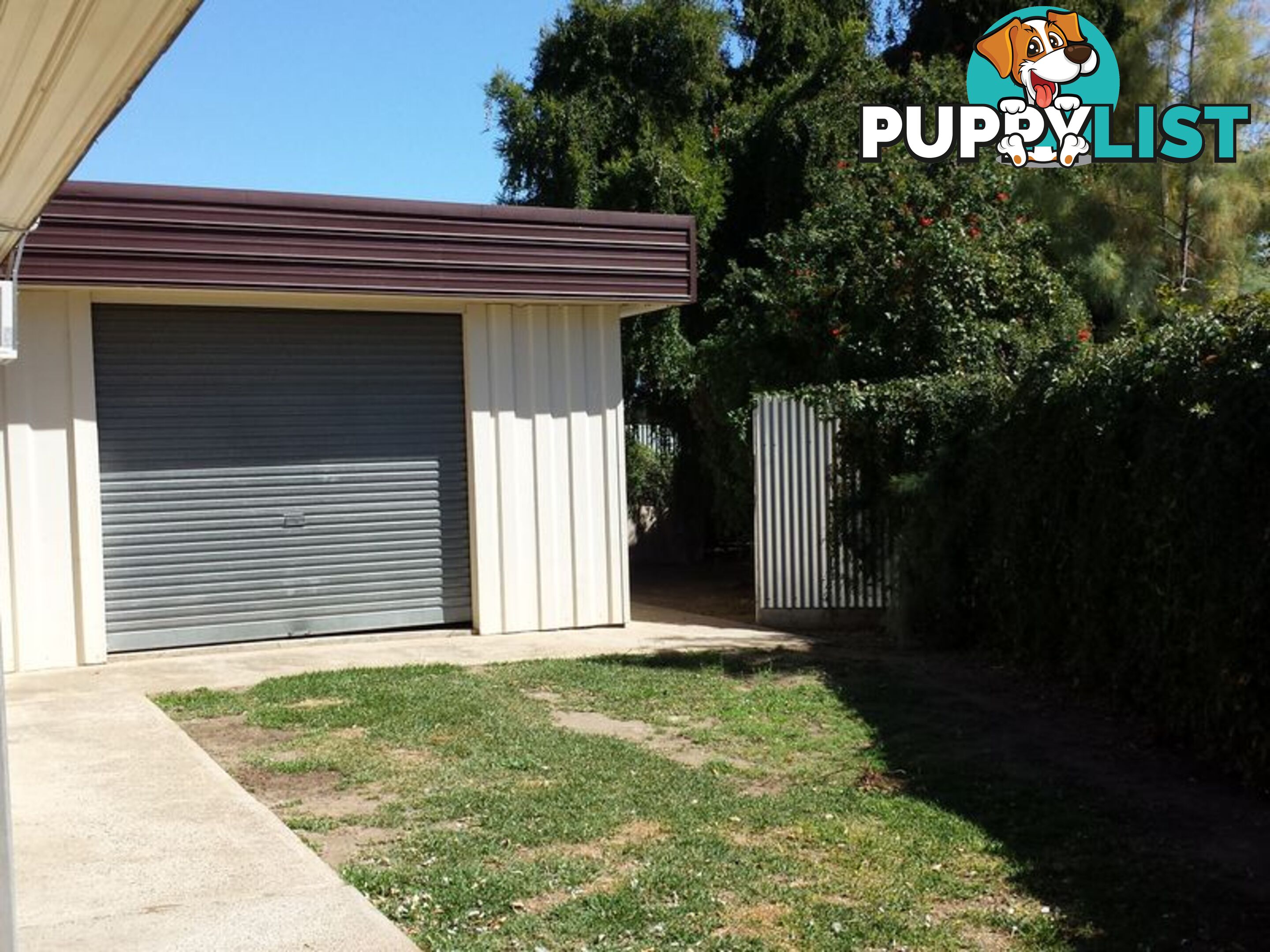 9 Warrina Crescent MOREE NSW 2400