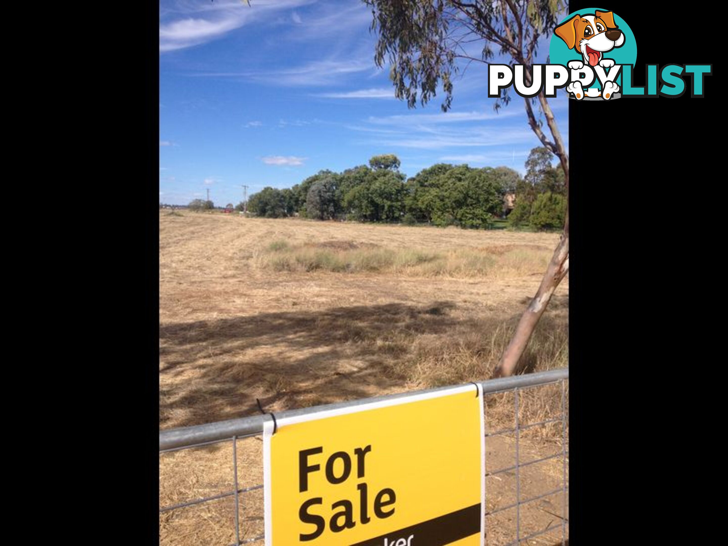 Lot 3 Mallee Road MOREE NSW 2400