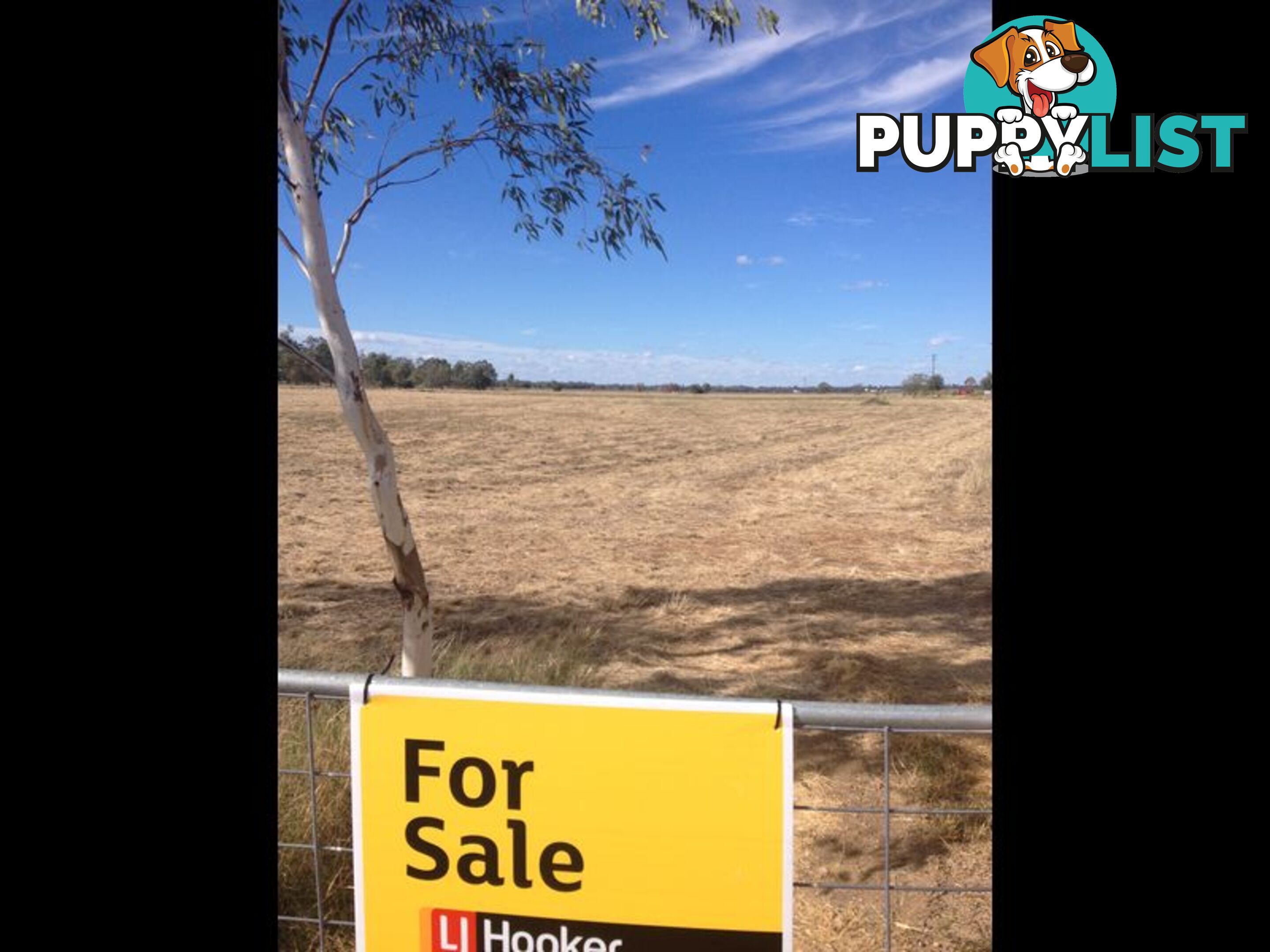 Lot 3 Mallee Road MOREE NSW 2400