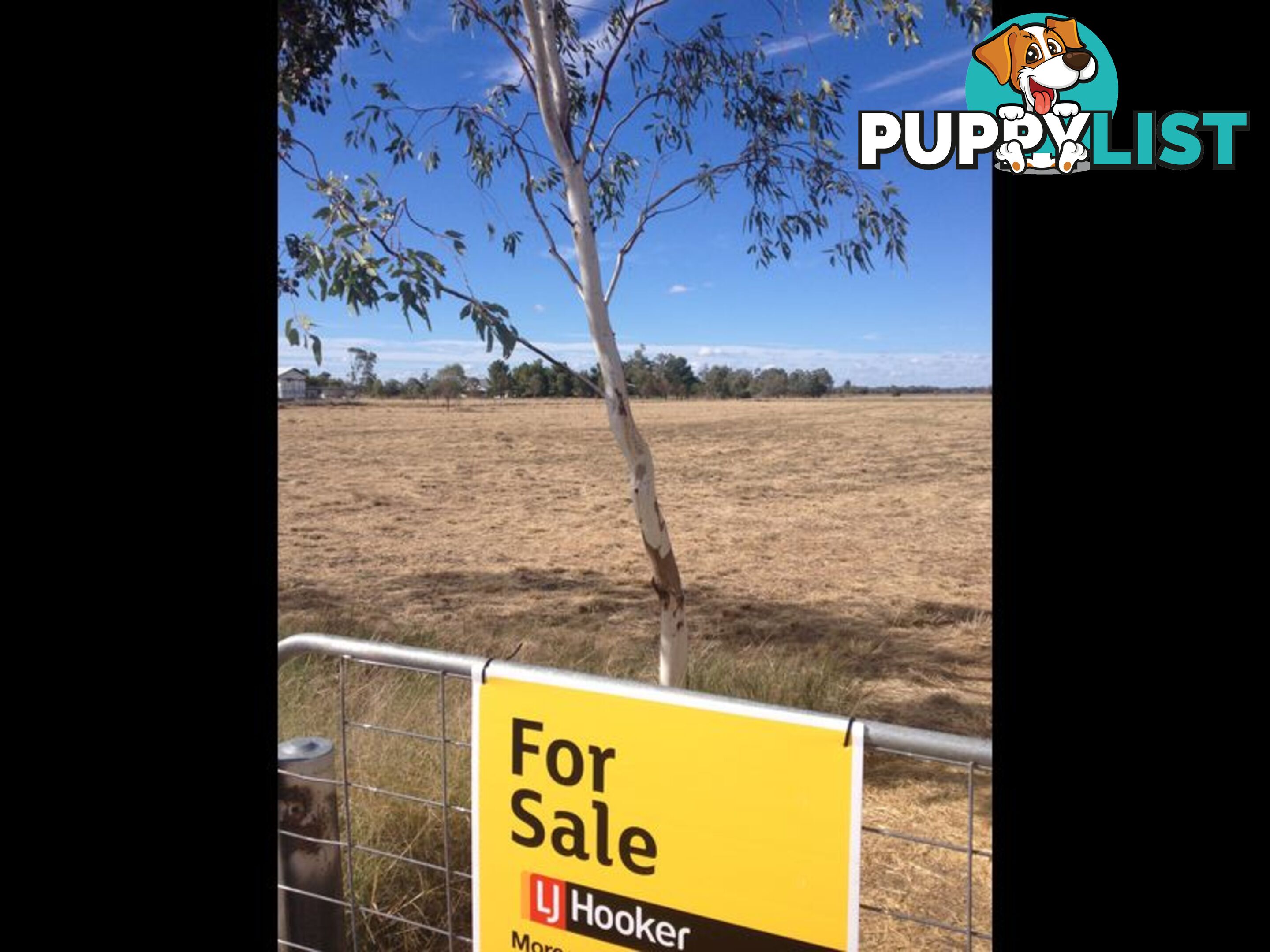 Lot 3 Mallee Road MOREE NSW 2400