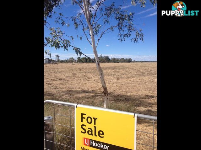 Lot 3 Mallee Road MOREE NSW 2400