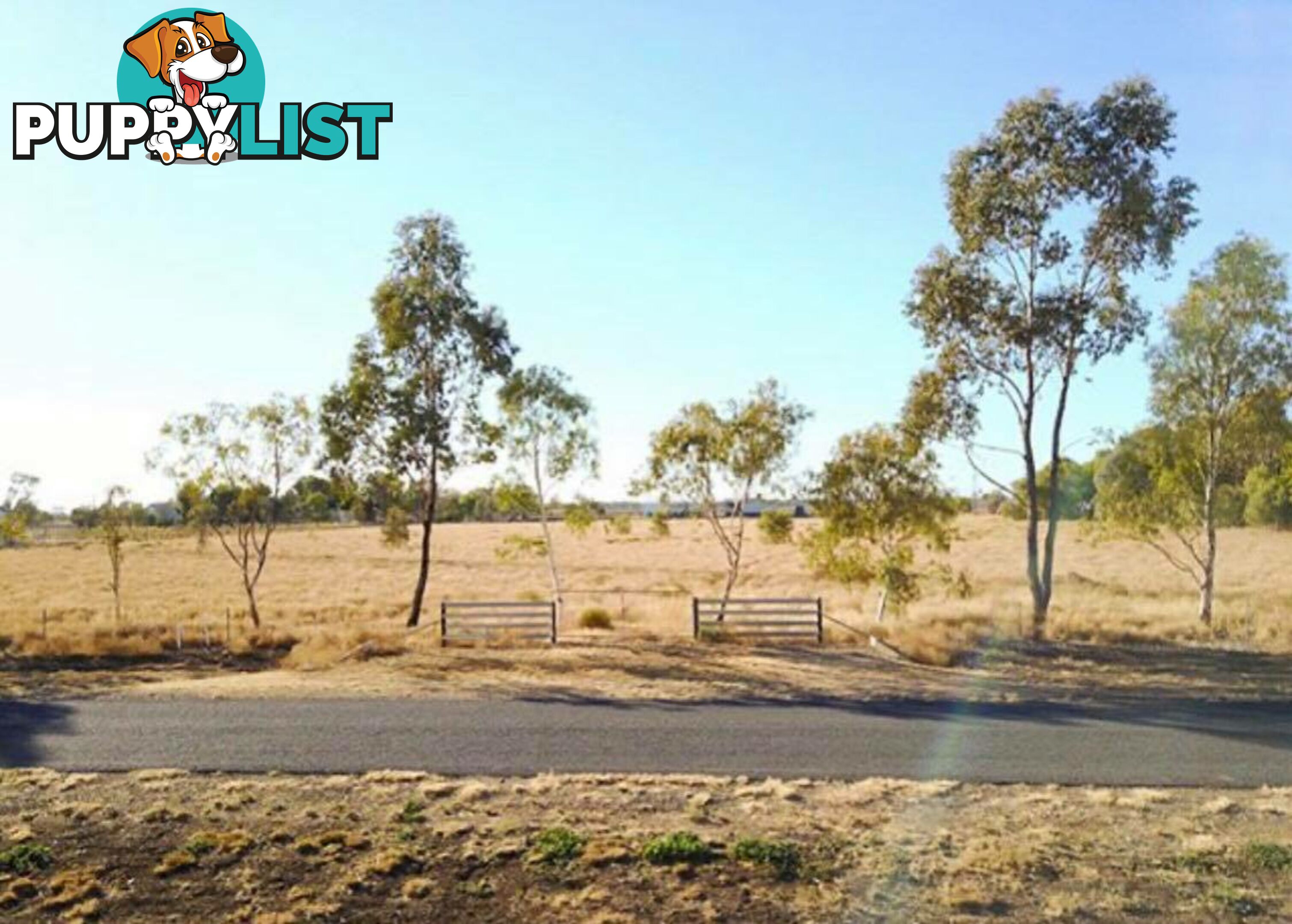 Lot 4 Mallee Road MOREE NSW 2400