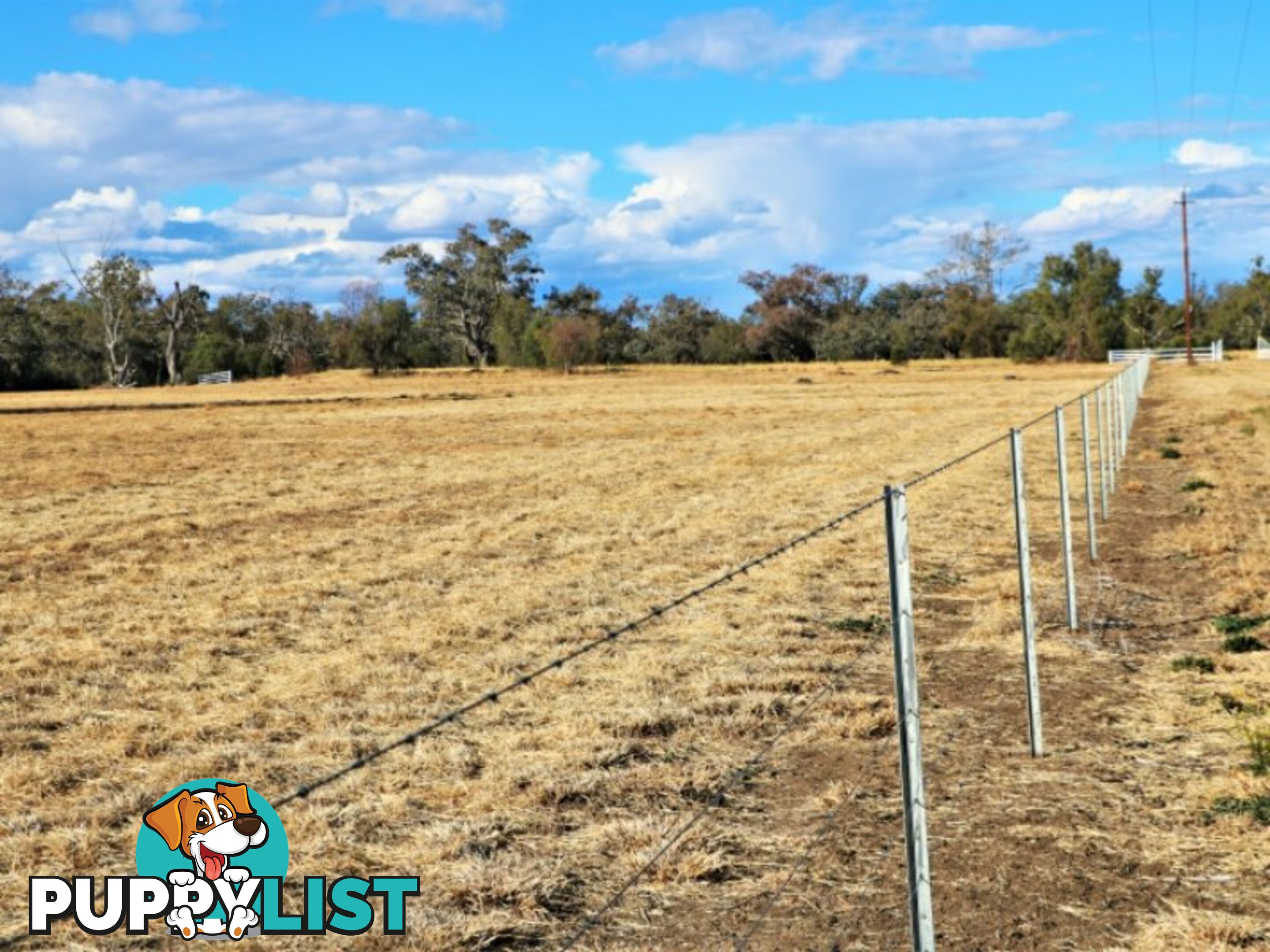 Lot 12 Ahwahnee Lane MOREE NSW 2400