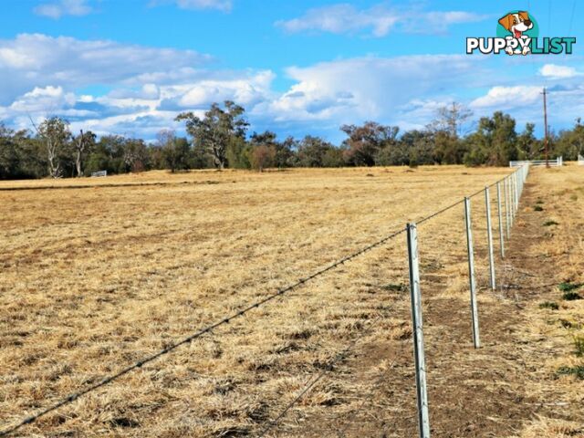 Lot 12 Ahwahnee Lane MOREE NSW 2400