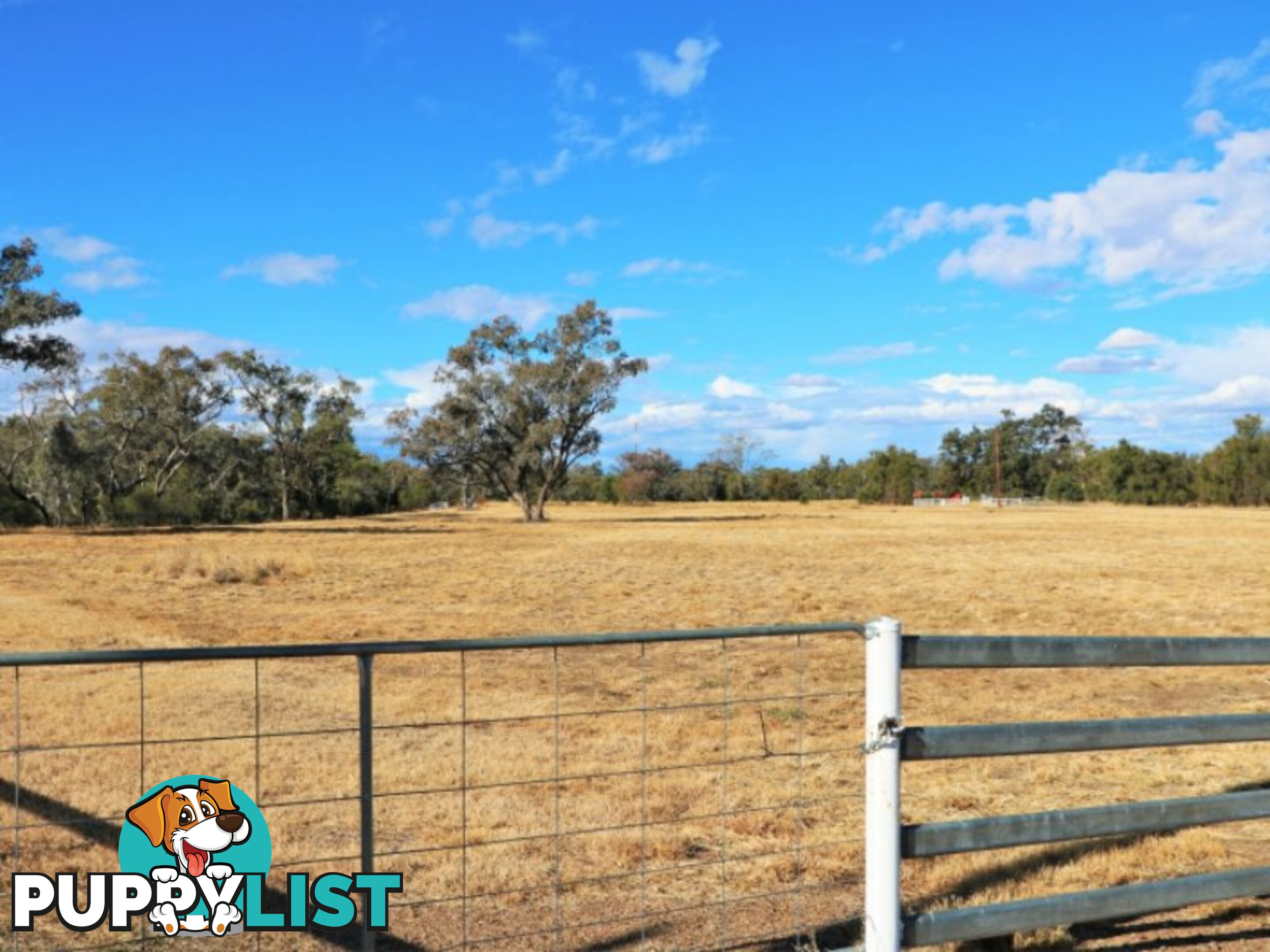 Lot 12 Ahwahnee Lane MOREE NSW 2400