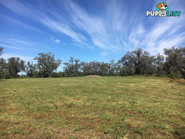 1 Watercourse Road MOREE NSW 2400