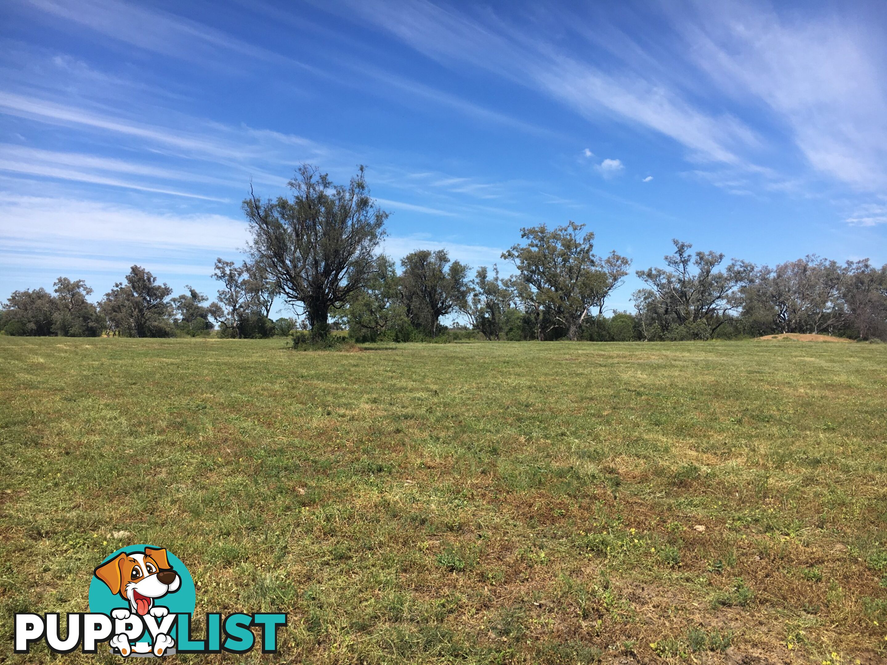 1 Watercourse Road MOREE NSW 2400