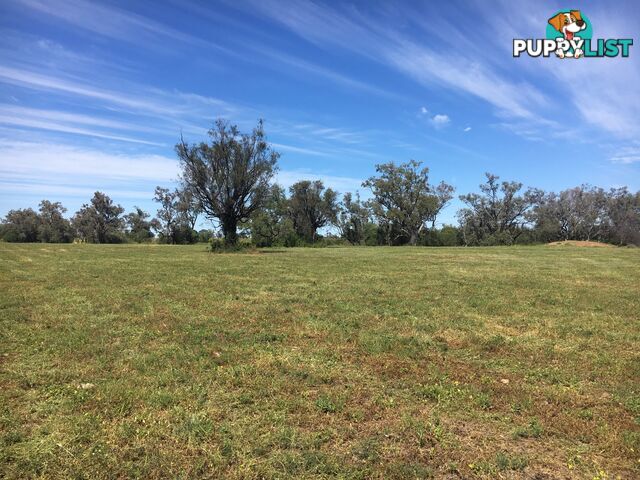 1 Watercourse Road MOREE NSW 2400