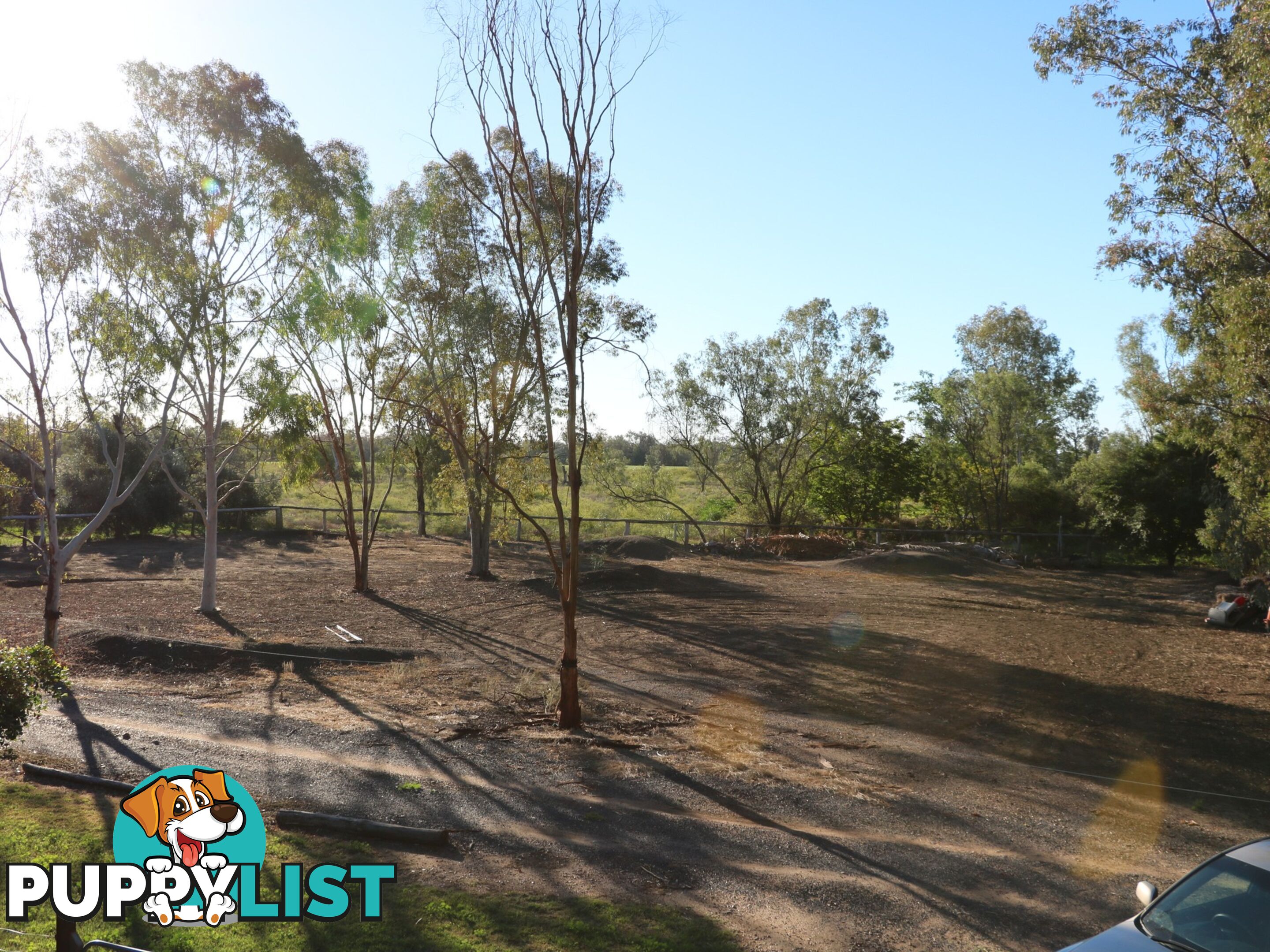 19 Mungindi Road MOREE NSW 2400