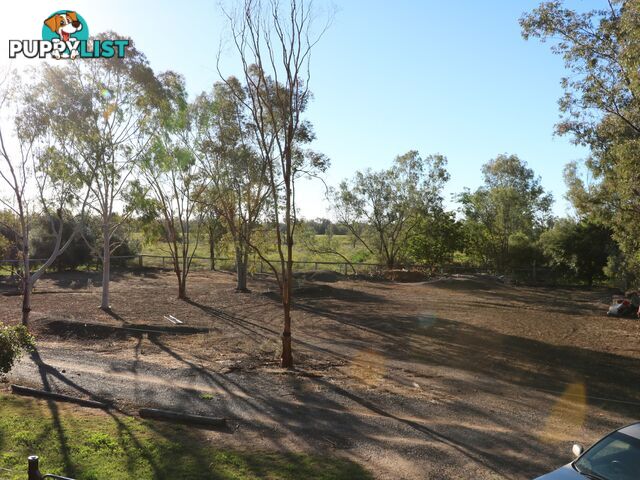 19 Mungindi Road MOREE NSW 2400