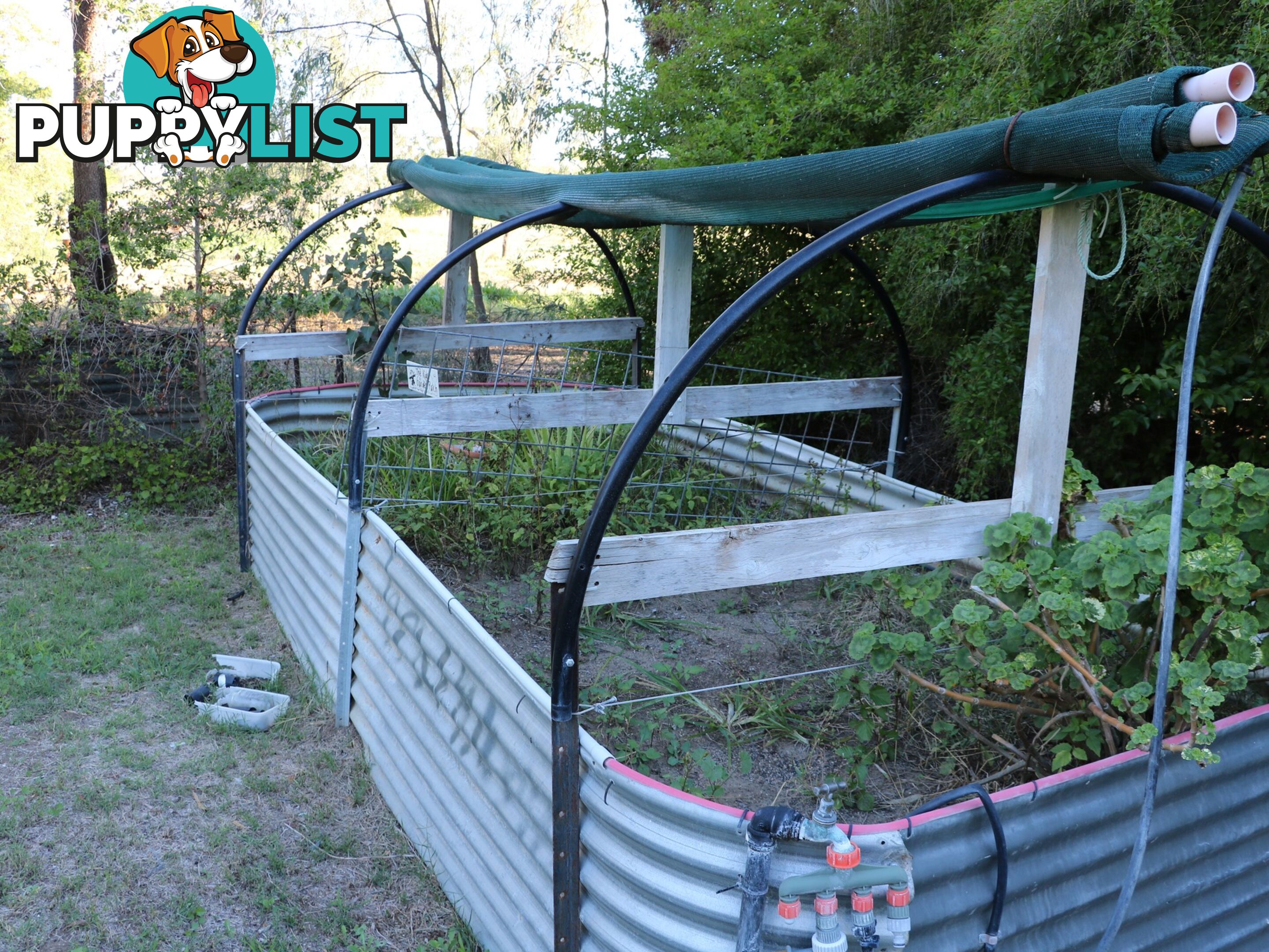 19 Mungindi Road MOREE NSW 2400